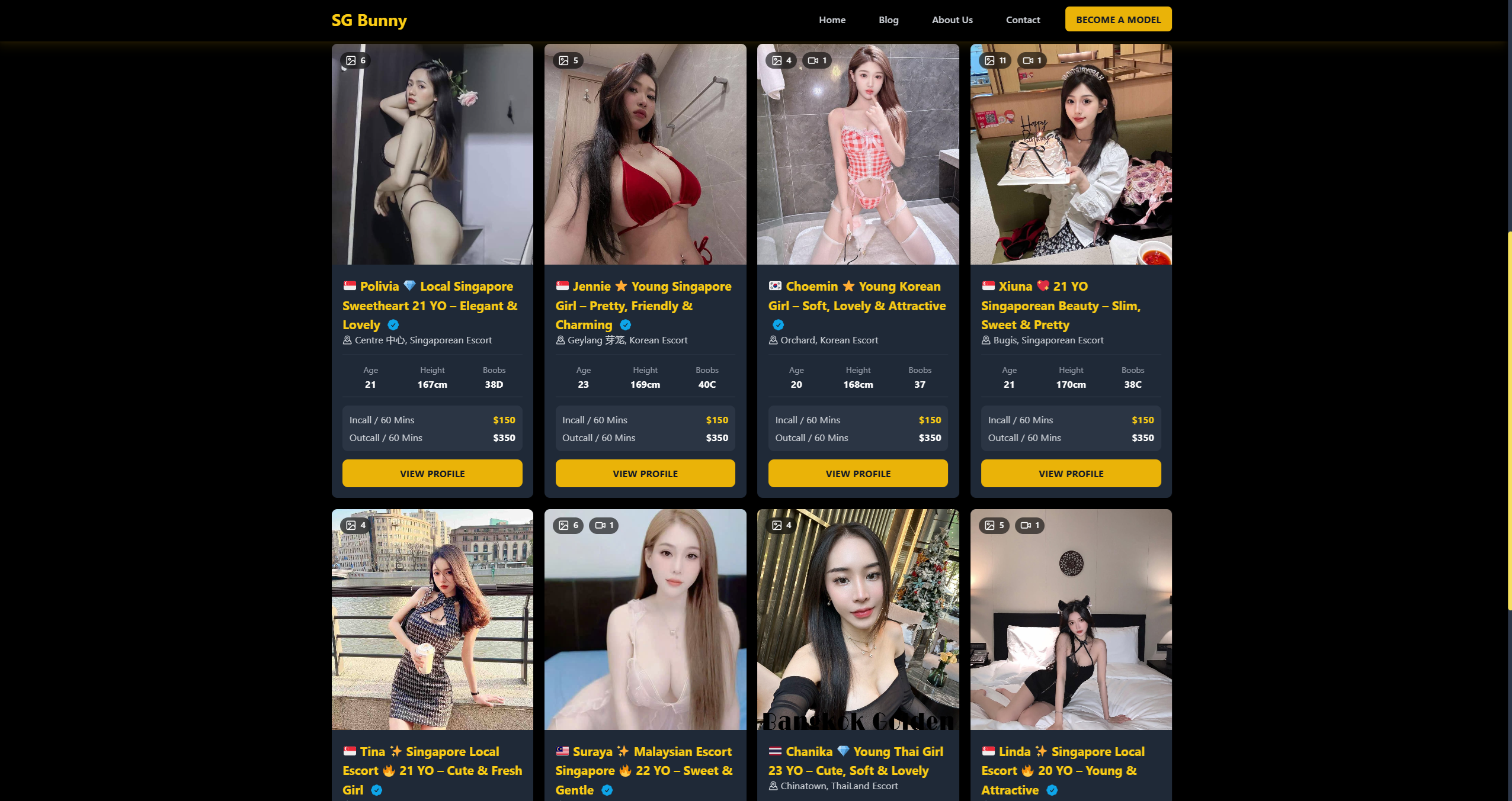 traveller using sgbunny to find singapore escort